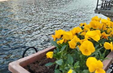 un balcone sul lago - Foto 10