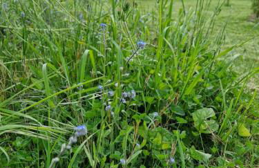 FeWo Fanissimo - Foto 18