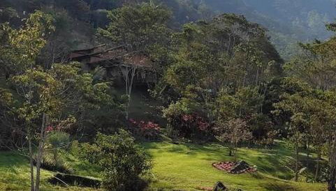 Vale das Quaresmeiras - Foto 4