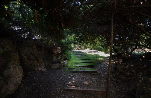 Villa Feia - Photo 31