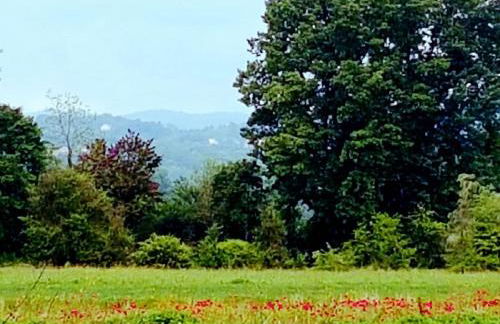 Diamante House 763 - Foto 62