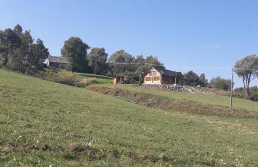 Bieszczady Chata - Foto 120