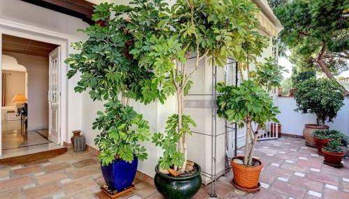 Elegant 2 Bedroom PH in Serene Urb El Presidente RDR521 - Photo 4