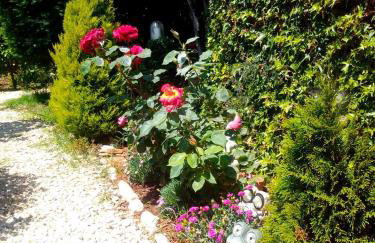 Casetta Olivetta - Foto 12