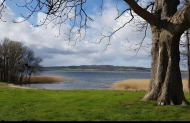 Ruheoase Kummerower See - Foto 26