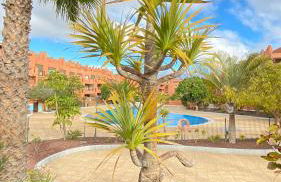 Ático de proa, en la mejor playa del Médano - Foto 36