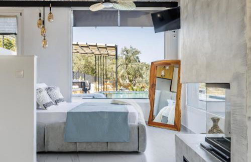 Aegea & Nerion Villas Private Pool Retreats in Skopelos - Foto 28