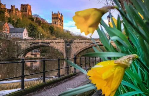 The Mayoress - Durham - Photo 16