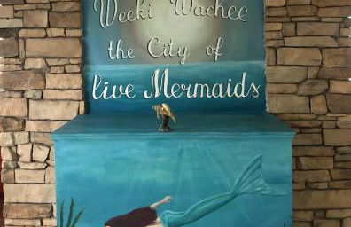 Bonne Nuit Weeki Wachee - Foto 8