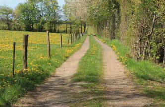 Hardthof - Hürtgenwald - Foto 19