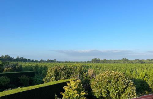 Jolie maison de vacances avec terrasse et jardin - Foto 24