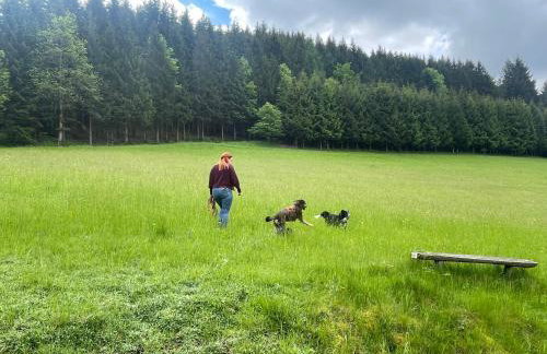 Morgensonne - Foto 24