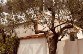 Breathtaking Sea View Apartment on Sorrento Coast with Sunset Terrace & Parking - Foto 29