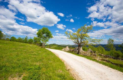Villa Fiore Spinovci - Foto 56