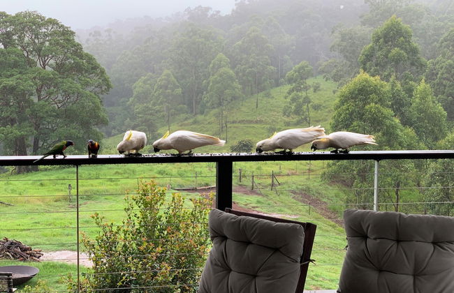 Whispering Valley Cottage Retreat - Foto 74