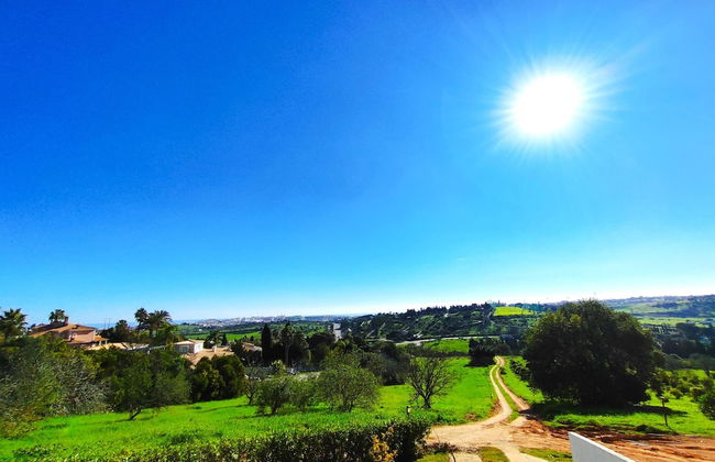 Lagos High Point Nature 2 by Homing - Foto 18