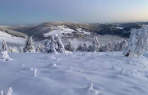 Ferienwohnung Ziegler - Foto 12