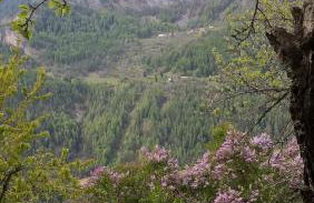 Le Seuil De Mes Reves - Foto 39