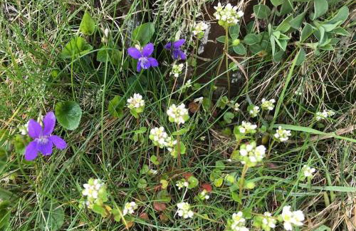 The Moorings - Just a few metres from the sea! - Photo 14