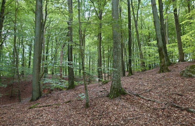 4 Star Holiday Home in Garsnas - Foto 5