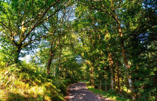 Slowley Farm - Photo 146