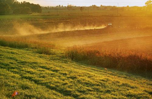 CORTE STELLATA Il Grano Lodging - Foto 43