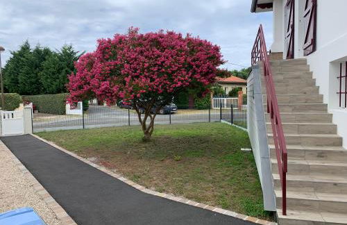 Résidence « les Gets » Location T4 Vieux-Boucau-Les-Bains - Foto 3