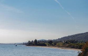 BS Village green - Photo 27