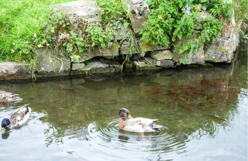 Fire Brigade Barn - Photo 10