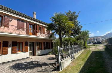 Sole dei Colli - Foto 5