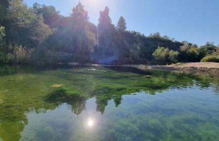 Les Valletes - Foto 17