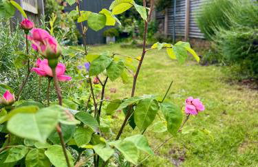 Holly Cottage Cosy Home In Sherwood Forest - Foto 23