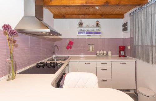 Stone houses Nikola - Foto 29