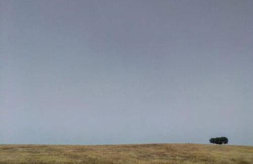 Monte do Arneiro - Foto 55