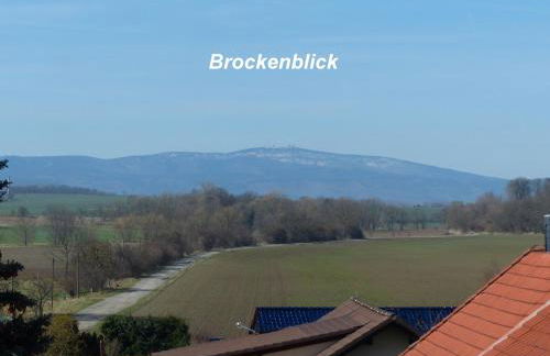 Ferienwohnung mit Brockenblick - Foto 1
