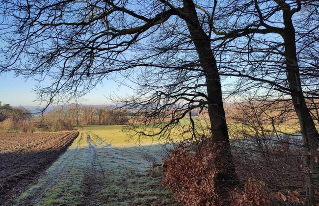 Small Apartment in Hesse With Terrace and Garden - Foto 38