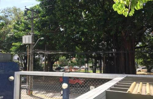 Jaqueira Essence - Foto 14