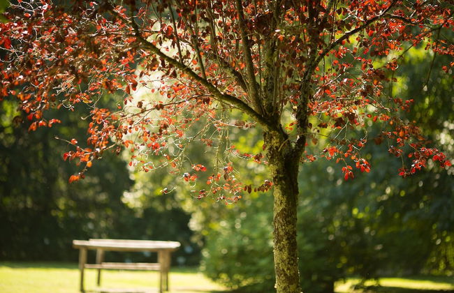 Rusticae Casa A Pedreira - Photo 42