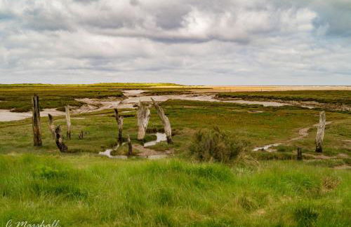 Sybil Cottage - Foto 47