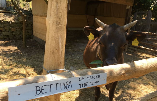 Podere don Peppe 1884 - Photo 22