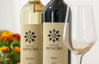 Monte de Matacães - Foto 21