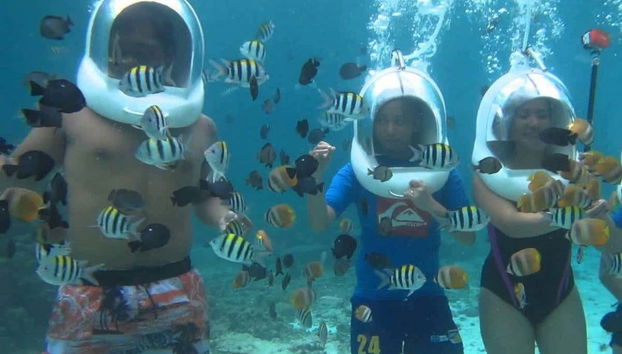 Uma atividade perfeita para se divertir em família