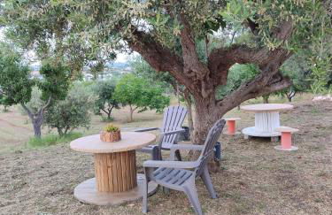 il borghetto in valle d'itria - Foto 14