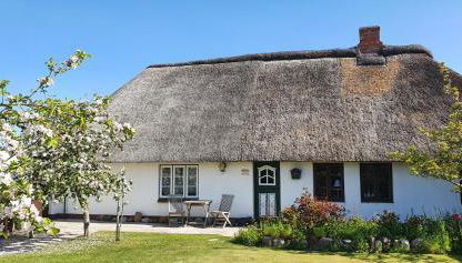 Haus-an-de-Marsch - Foto 2, Garden