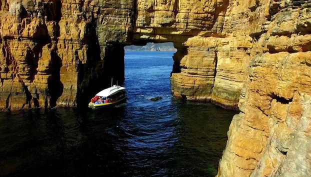 Tasman Island Ganztagesausflug mit optionalen Tickets - Ab Hobart - Foto 4