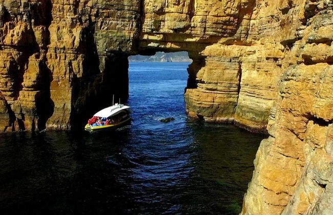Excursion d'une journée à l'île Tasman avec billets en option - Au départ de Hobart - Photo 4