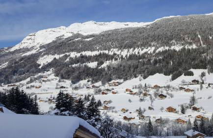 Les Picaillons - Le gîte - Foto 17