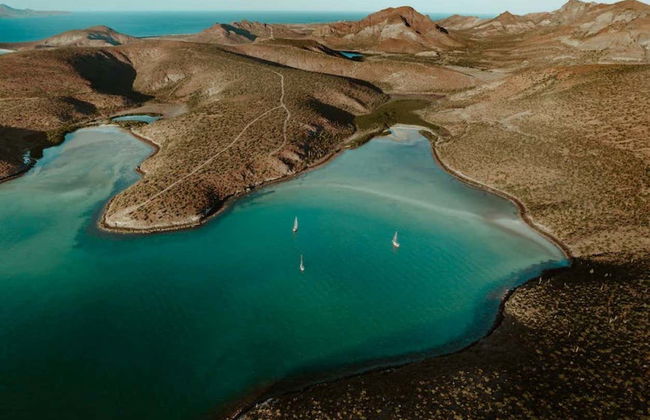 Espiritu Santo Island Boat Tour - Foto 3