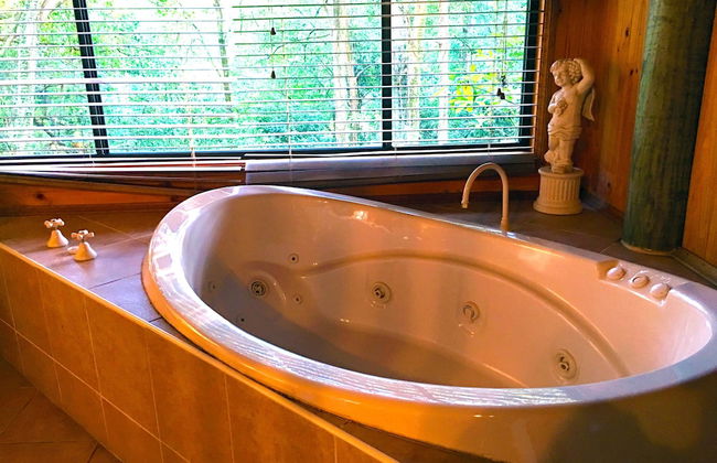 Ecostudio Fellini - Foto 43