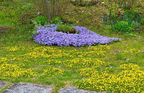 Mazzetti Country House-Vita in campagna con giardino - Foto 21